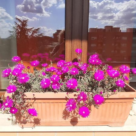 Bed and Breakfast L'Orchidea Di Ale Tivoli Terme Exterior foto