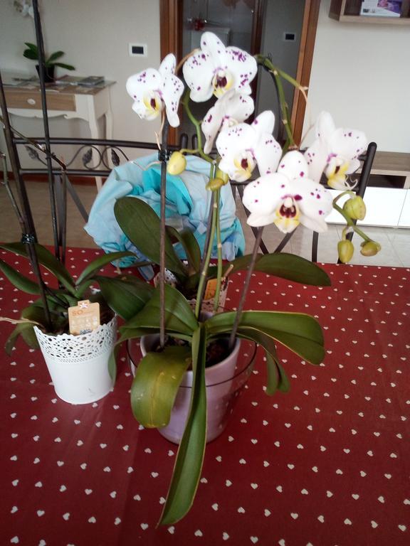 Bed and Breakfast L'Orchidea Di Ale Tivoli Terme Exterior foto